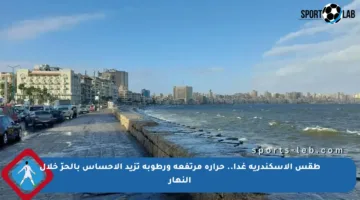 طقس الإسكندرية غدا.. حرارة مرتفعة ورطوبة تزيد الإحساس بالحرّ خلال النهار